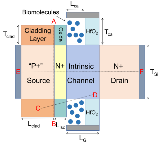 CL-PNPN TFET 生物传感器结构与双纳米间隙腔体示意图